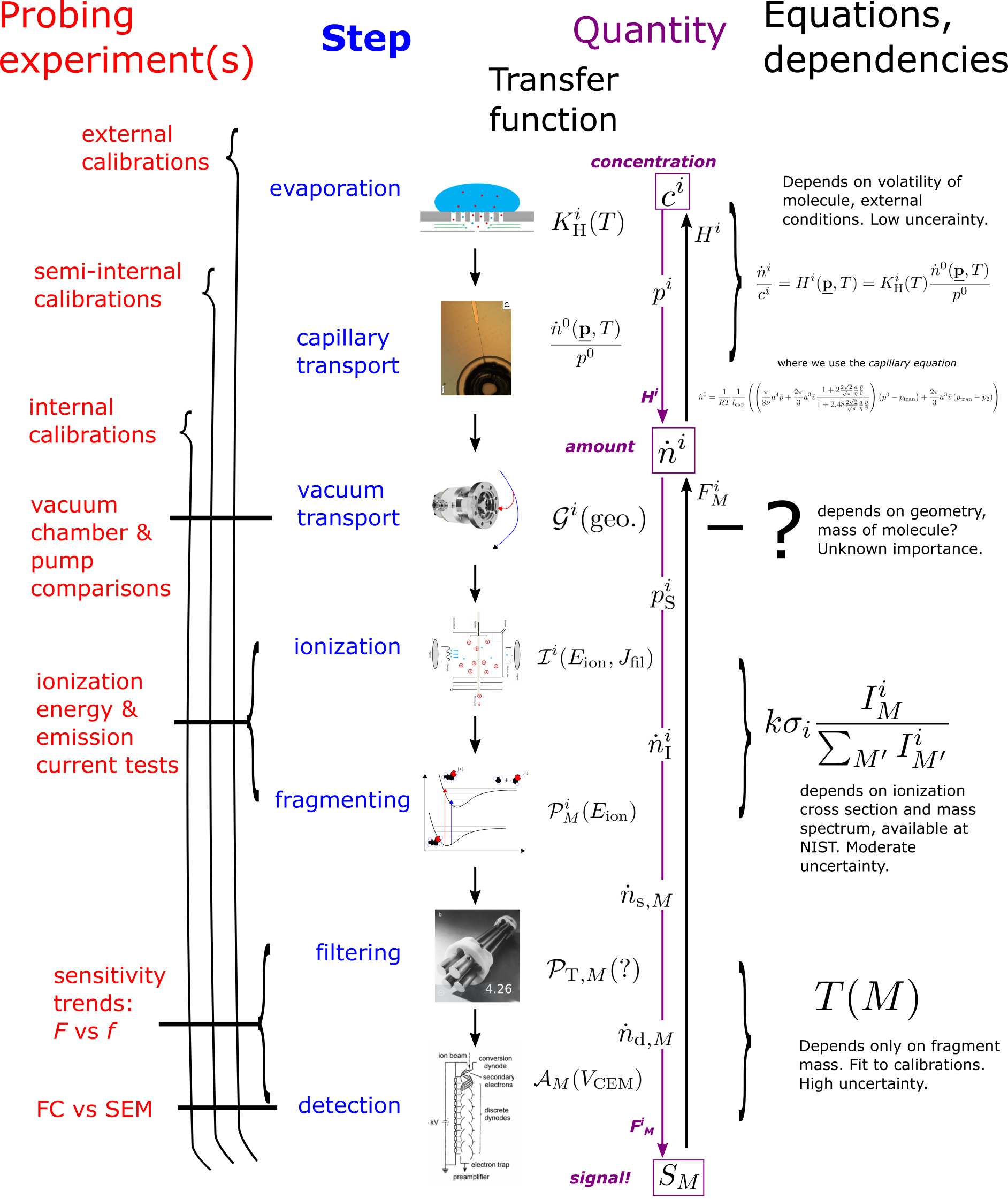 ../_images/mass spec steps.png
